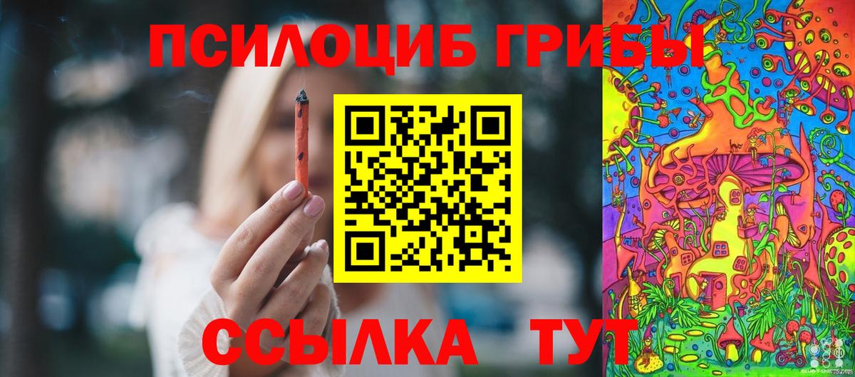 Псилоцибиновые грибы ЛСД Михайловка
