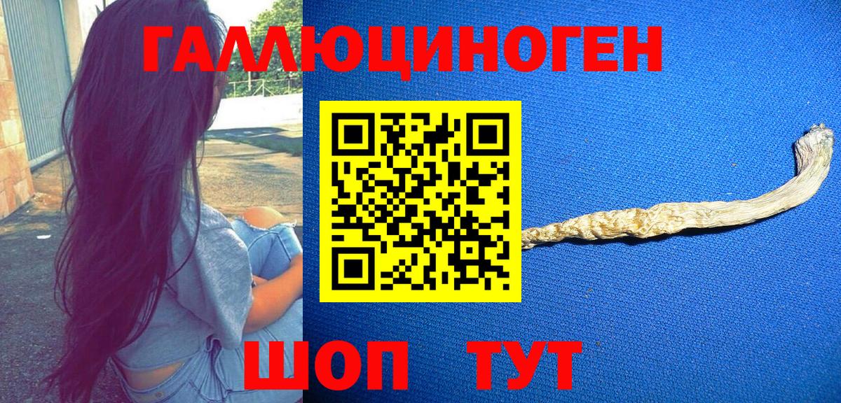 Михайловка  Псилоцибиновые грибы Psilocybine cubensis  Вход с VPN 